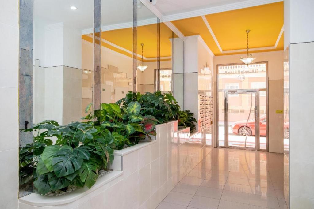 Bonito Apartamento En Τορεβιέχα Εξωτερικό φωτογραφία